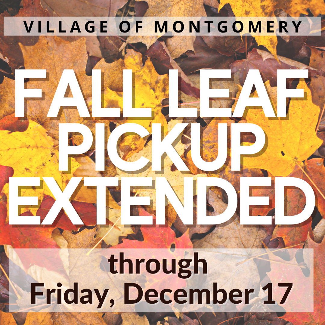 Fall Leaf Pick Up Extended