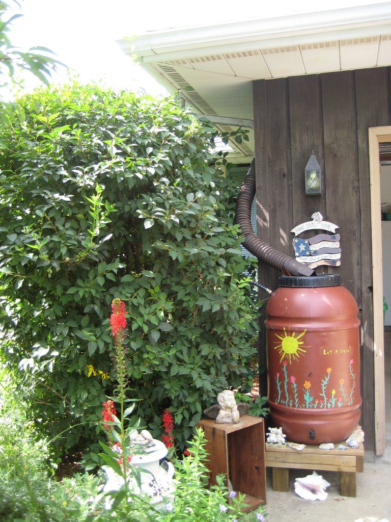 Rain Barrel image