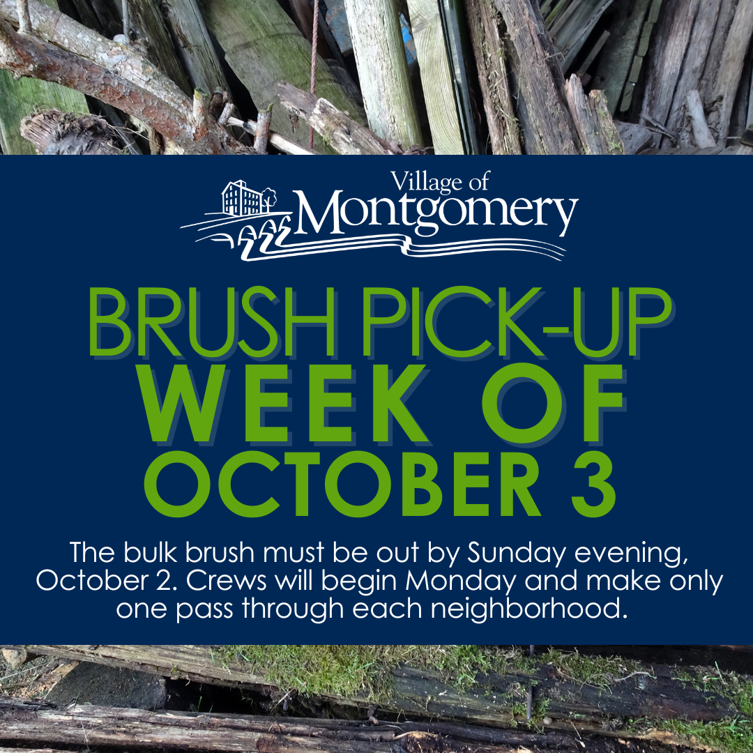 Brush Pick Up - for press release