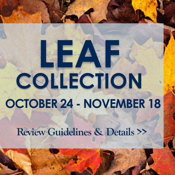 Leaf Collection October 24 2022