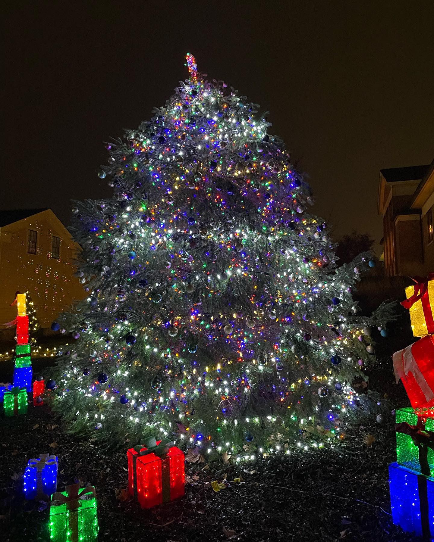 Village of Montgomery Christmas Tree