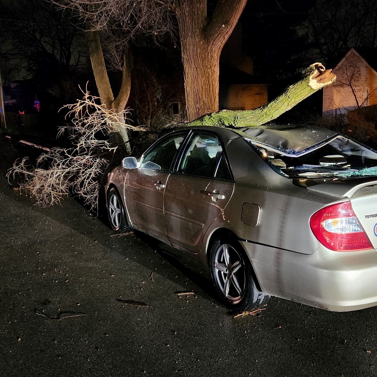 Picture of tree on car April 23 storm