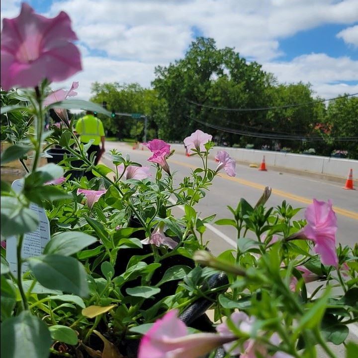 Bridge Flowers