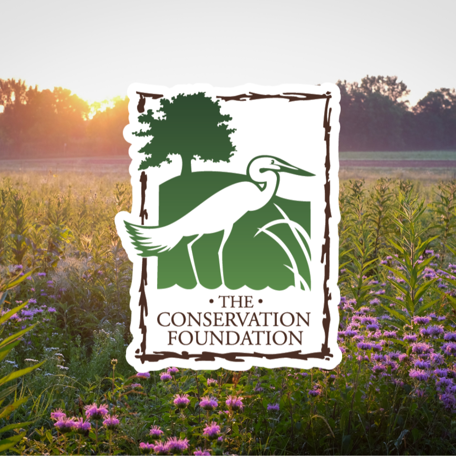 Conservation Foundation Logo