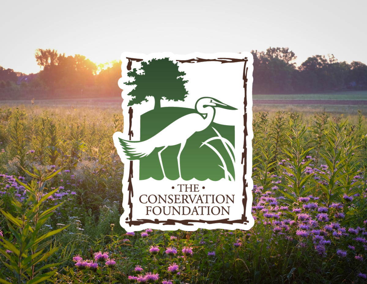 Conservation Foundation