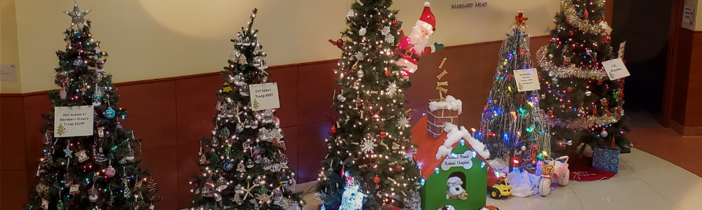 Indoor Festival of Trees at Village Hall