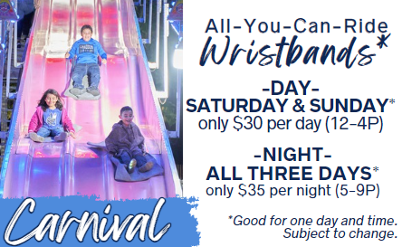 Carnival for Website